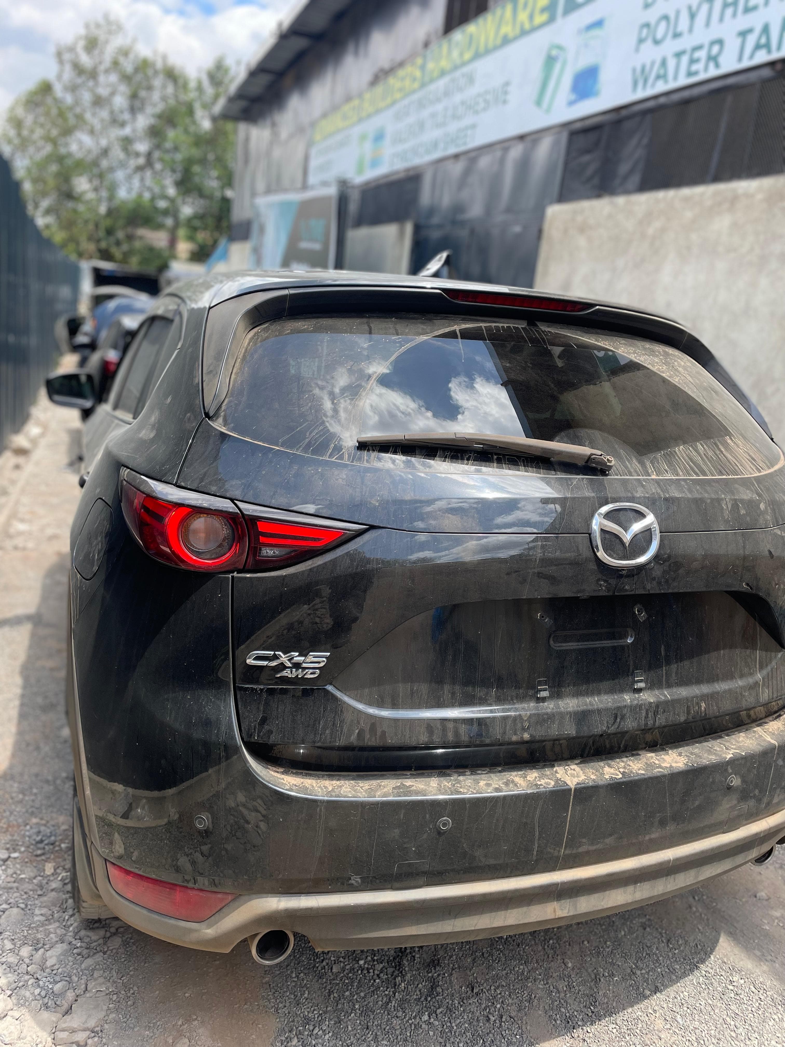Vehicle Importation